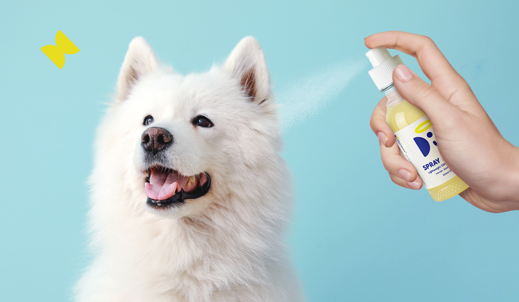 Sprayed dog discount